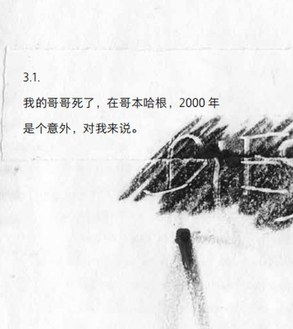 译者和学者：因为诺奖，让大家看到安妮·卡森是这样一个珍贵的存在