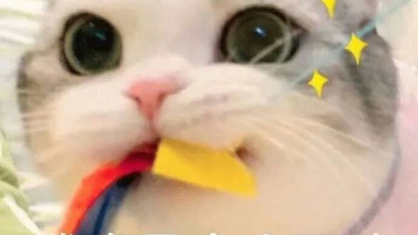 抖音表情包