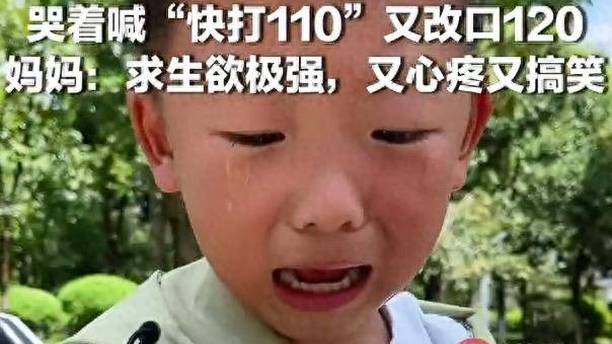笑死！6岁男孩摘柿子被洋辣子蜇伤，哭着喊“快打110”又改口120