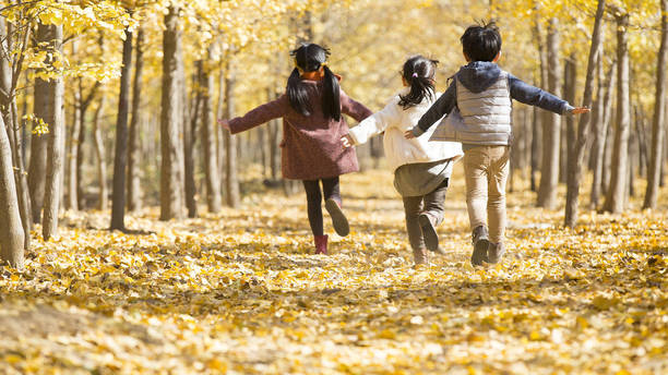 秋假“带飞”11月淡季旅游市场：亲子游热度翻番，研学赏秋成主流
