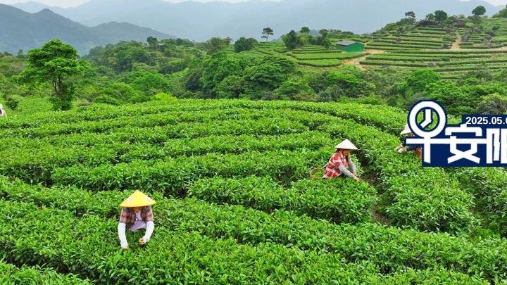 阳江下调个人住房公积金贷款利率，你觉得合理吗？