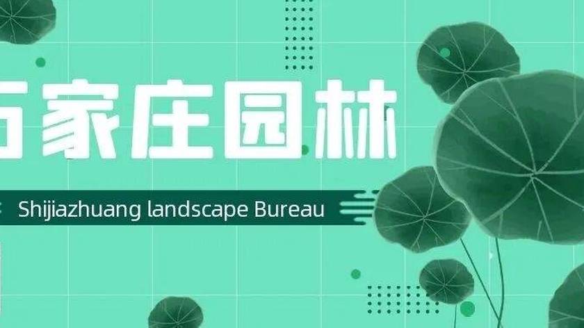 石家庄市园林局关于世纪高尔夫球场有关事宜的公告