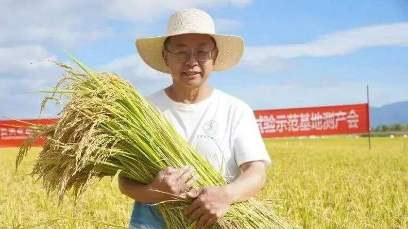 “最美教师”张福锁：希望能再干几十年！