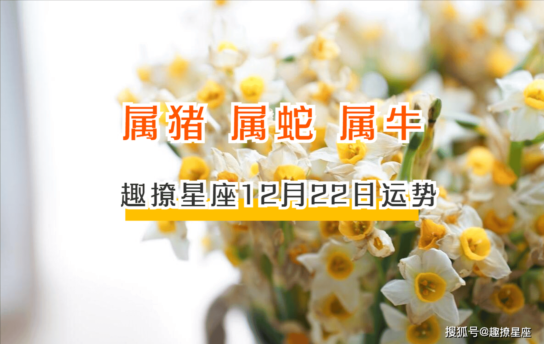 明日生肖运势7月22日运(2021年7月22日特吉生肖运势)