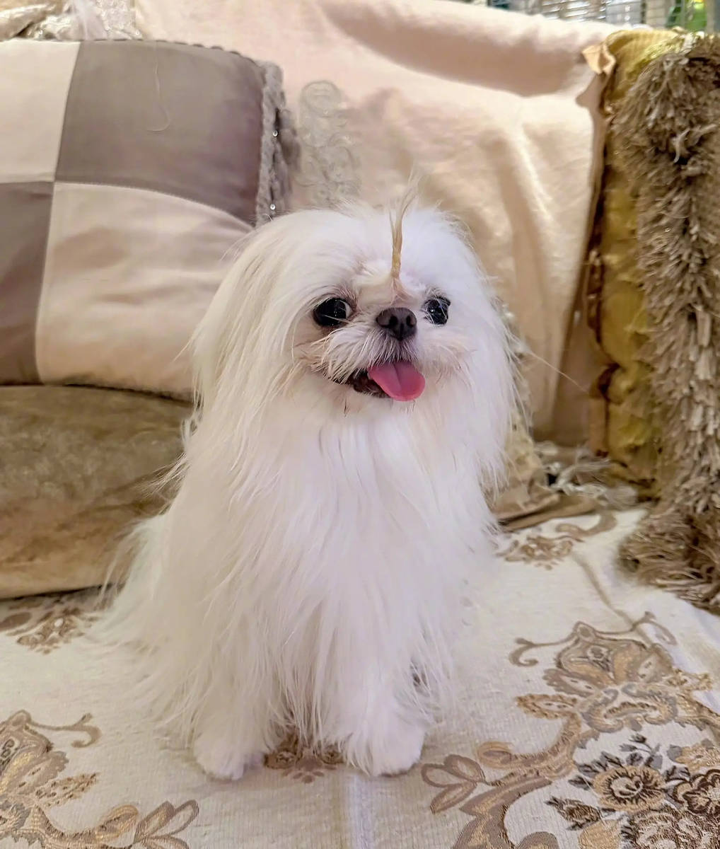 关晓彤冬至吃上妈妈包的饺子！晒素颜自拍照好幸福