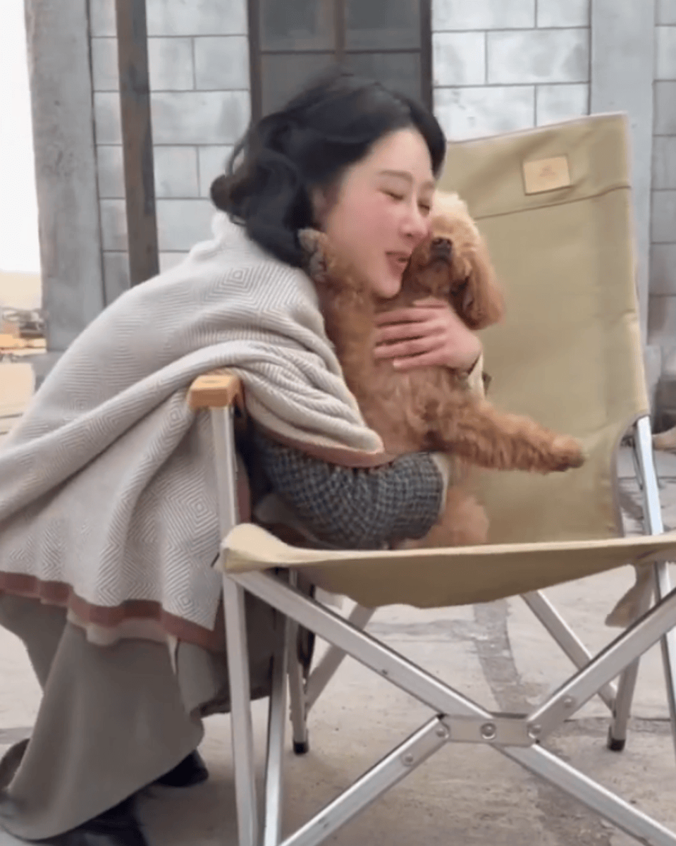 杨紫与宠物狗小piu亲密贴贴合影！画面温馨有爱