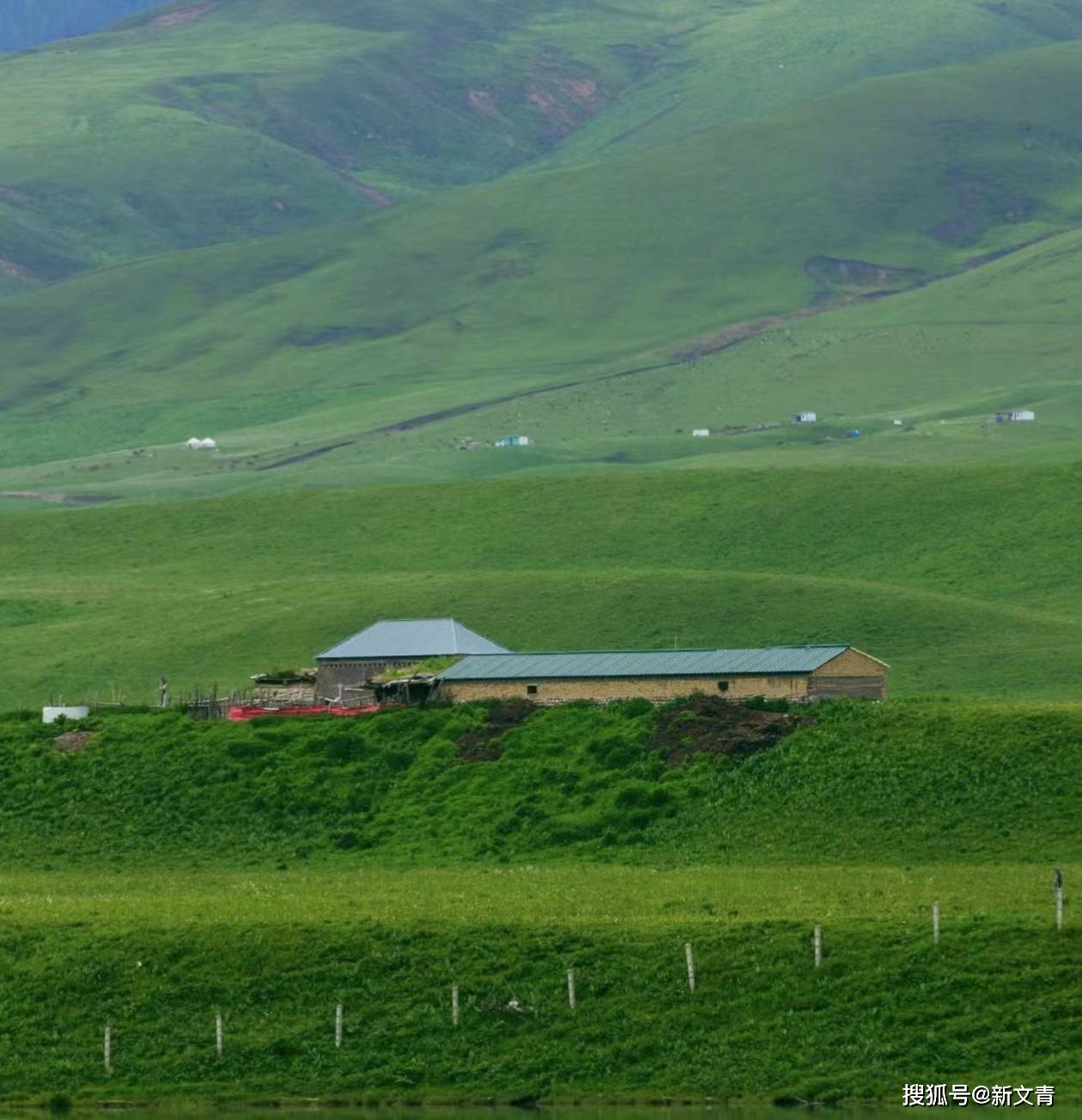 徐然| 《原野》_人类_祖国_大自然