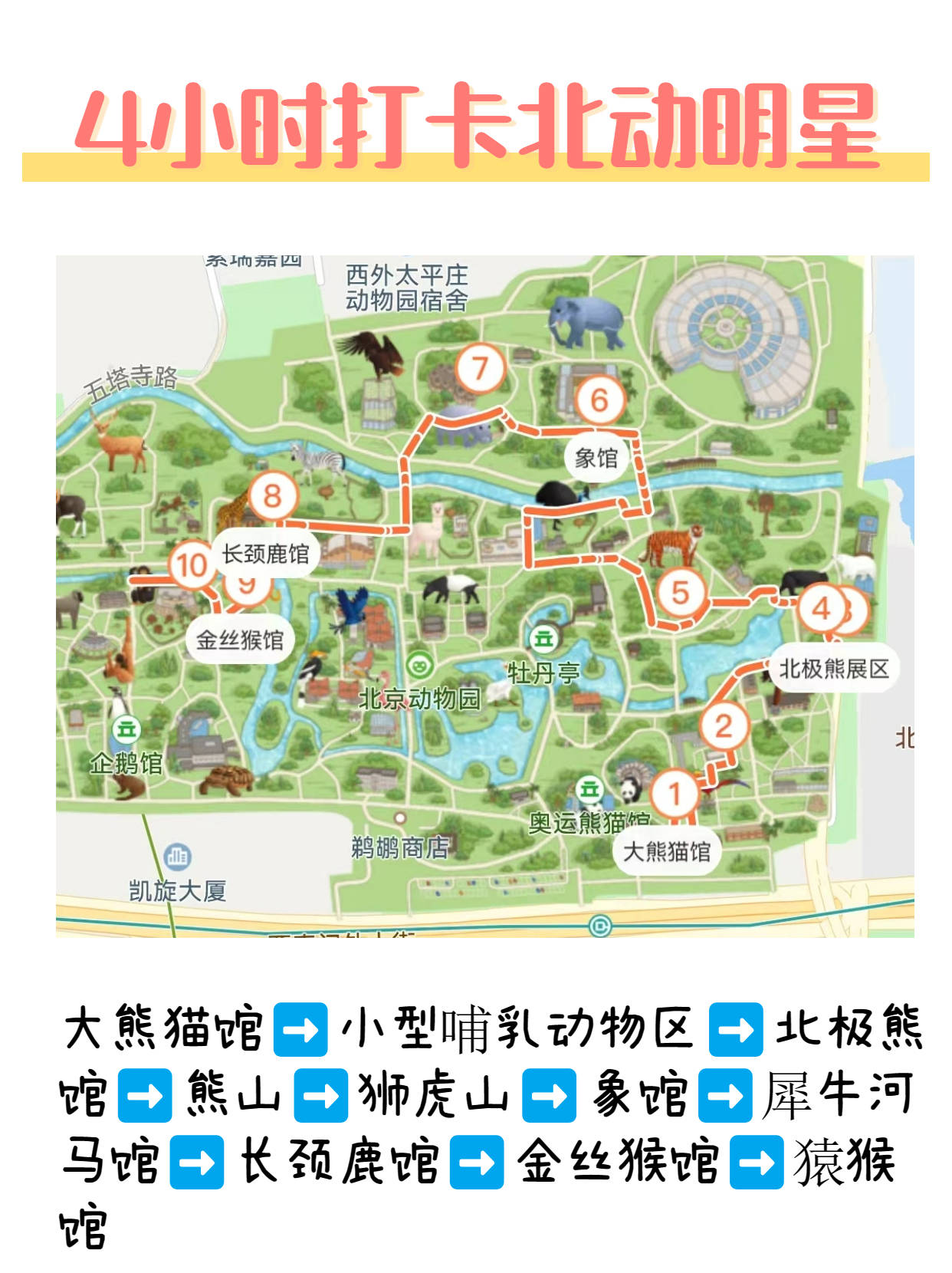 北京动物园的路线图图片