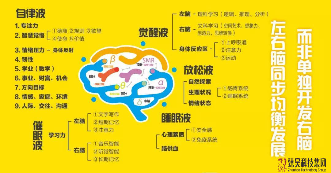 人的左腦主要從事邏輯思維,右腦主要從事形象思維,是創造力的源泉,是