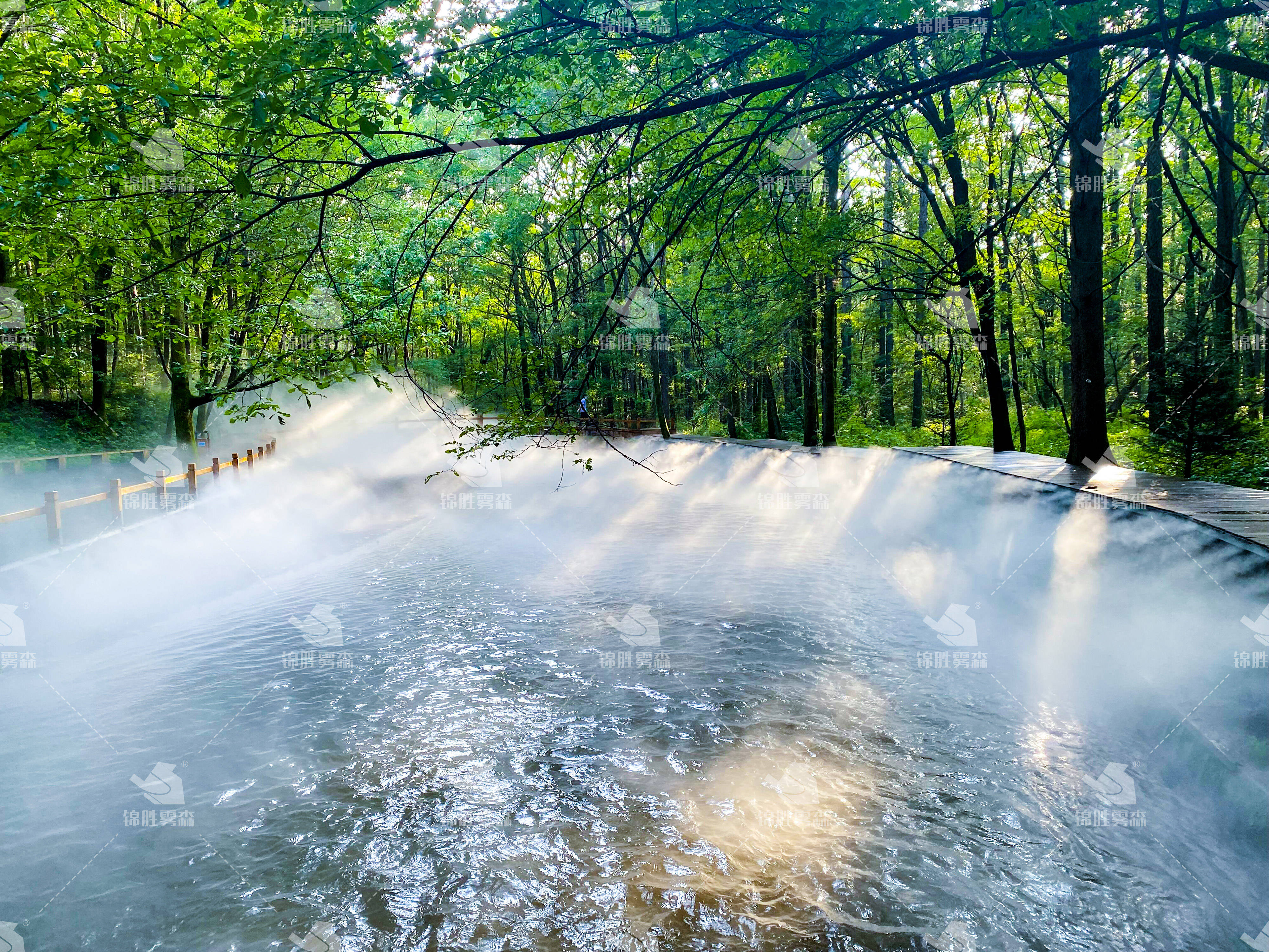 雾森公园 | 邂逅城市中的自然美景_景观_绿色_理念