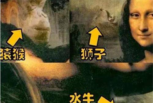 你把她倒过来看,就不会这么认为了_在研究_达芬奇_法国