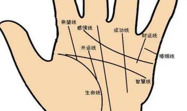 全面了解_研究_手指_命运