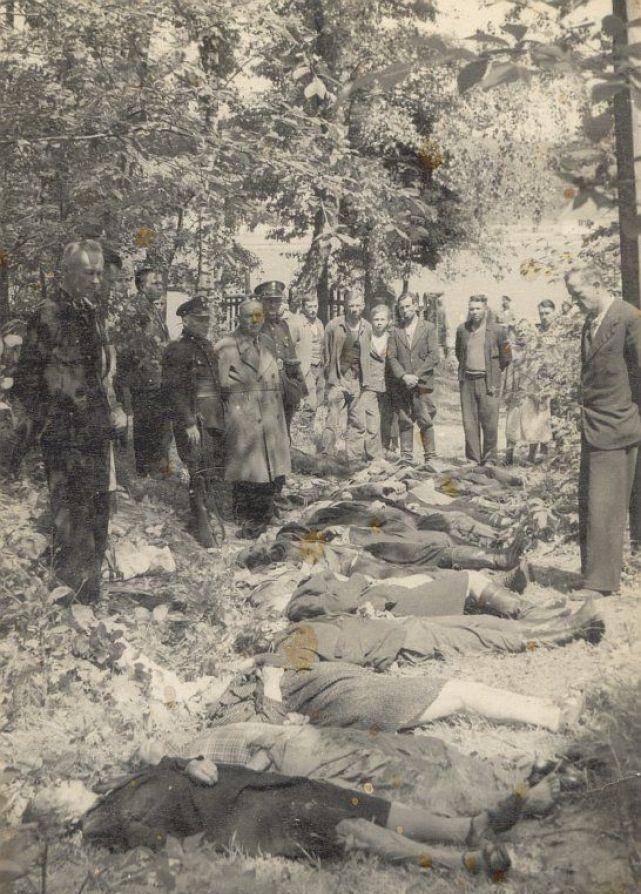 沃伦大惨案:二战期间乌克兰民族主义者报复性屠杀波兰超10万人