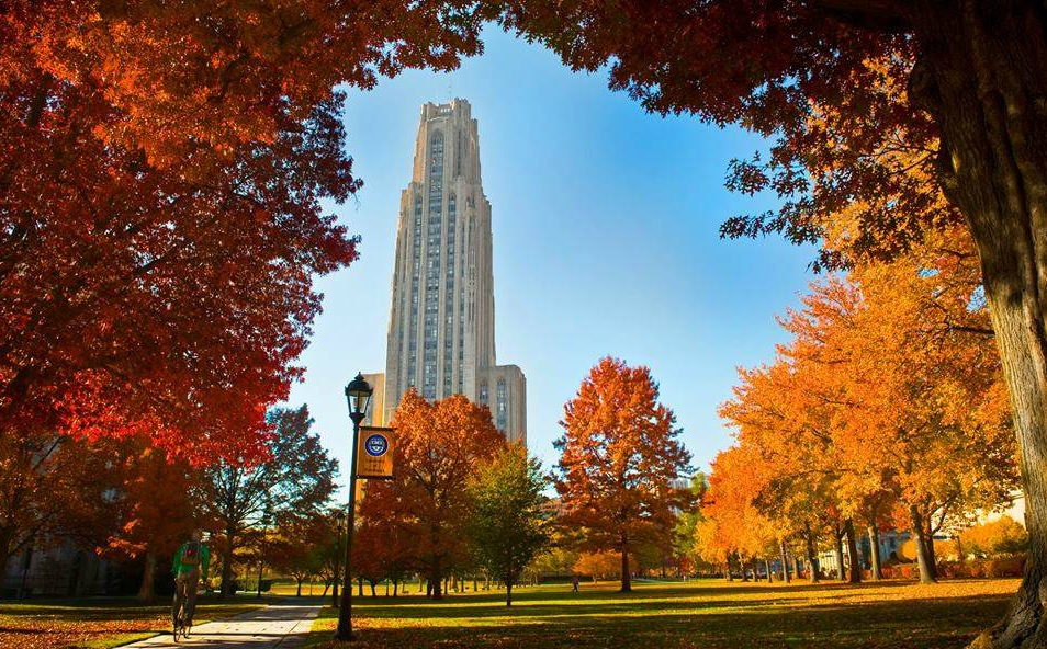 美国匹兹堡大学访问学者,博士后职位招聘