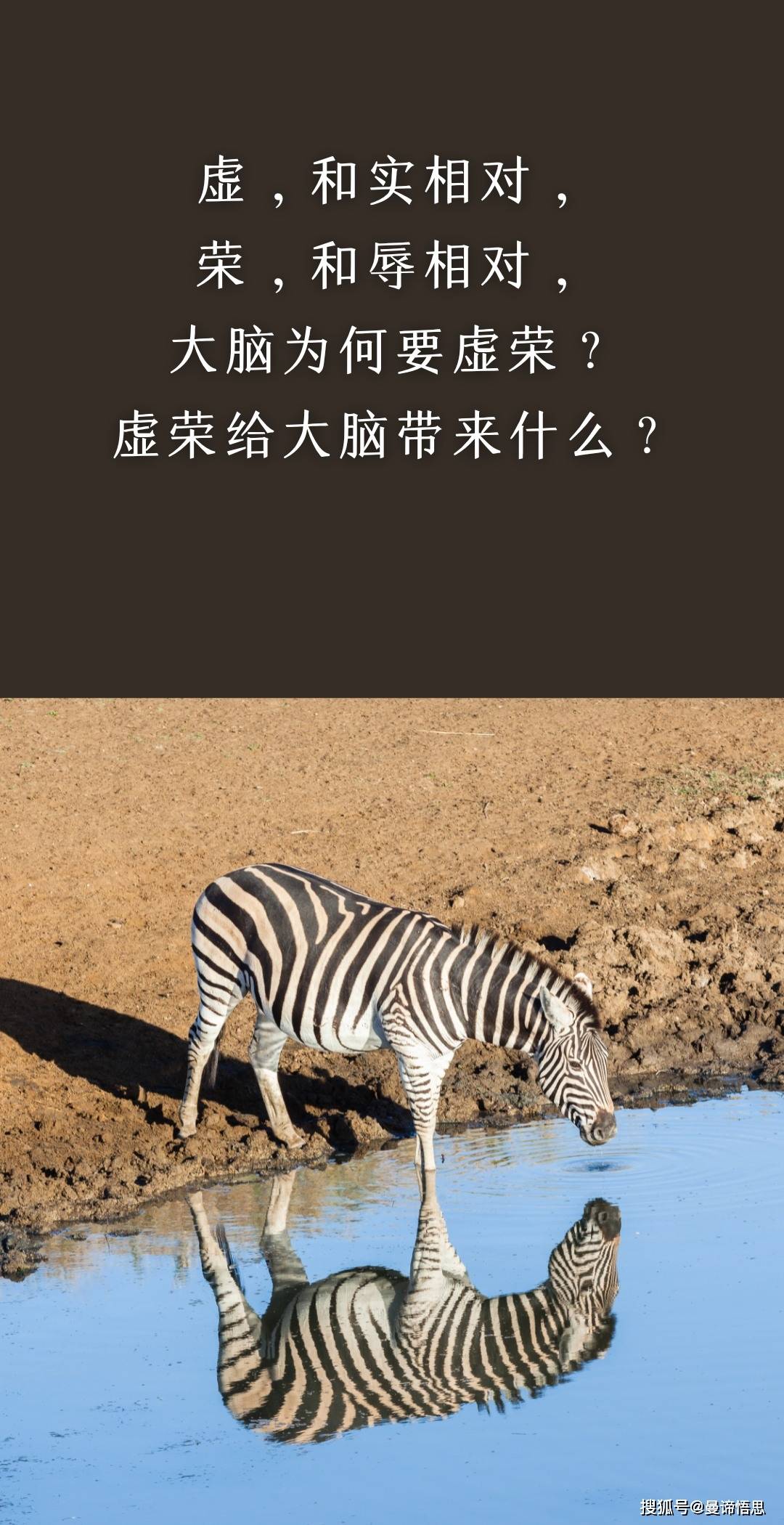 粉碎一切虚荣,亲自体会「真实」-搜狐大视野-搜狐新闻