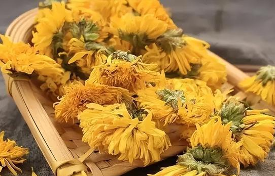 温县温贤仁怀菊花:一杯好茶,品味自然与健康的交融_品牌_品质_茶文化