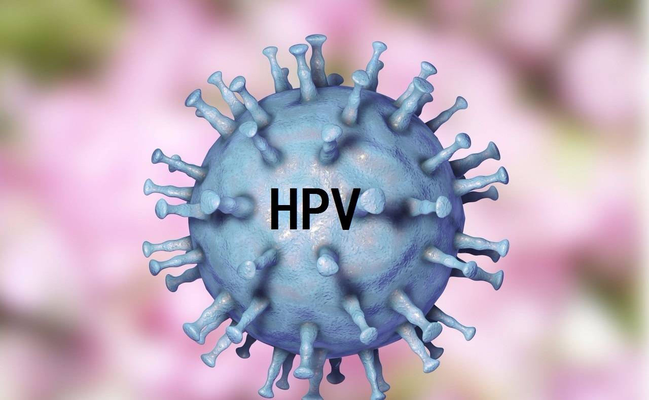郑州合心医院:hpv病毒是怎么染上的?哪些人容易中招?