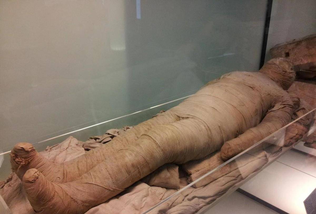 波兰发现一具古埃及的怀孕木乃伊,腹中胎儿死前已经发育至28周_死者