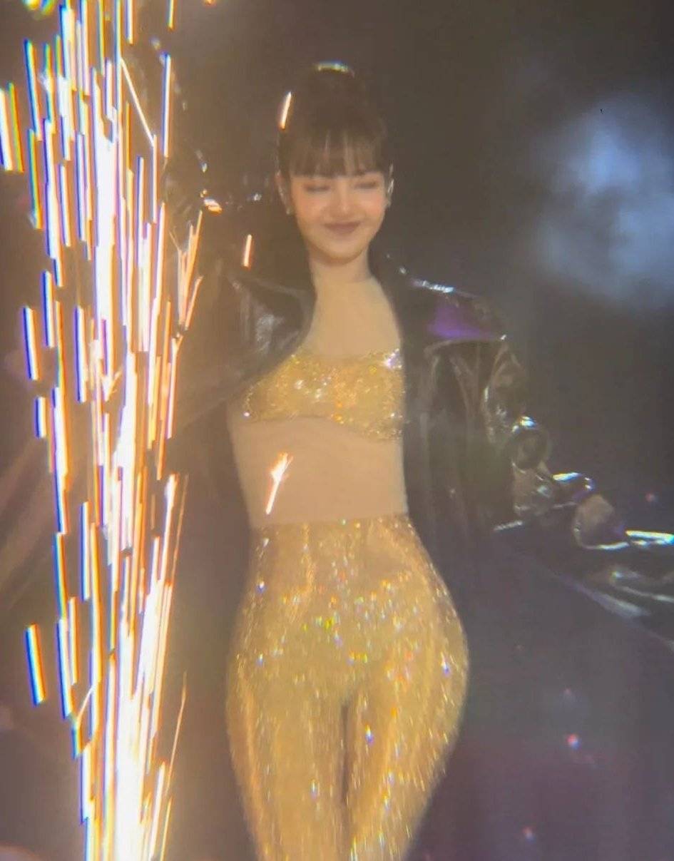 Lisa现身巴黎慈善晚会热舞 穿金色战衣秀玲珑身材-搜狐大视野-搜狐新闻