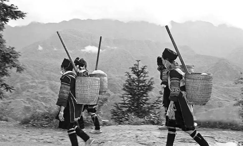 千年苗医,万年苗药, 贵州蚩苗堂药业贴牌代工膏药贴