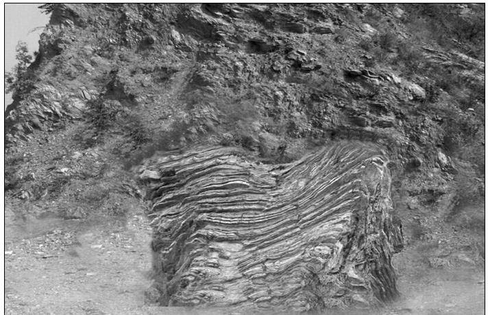 泥质页岩图例图片