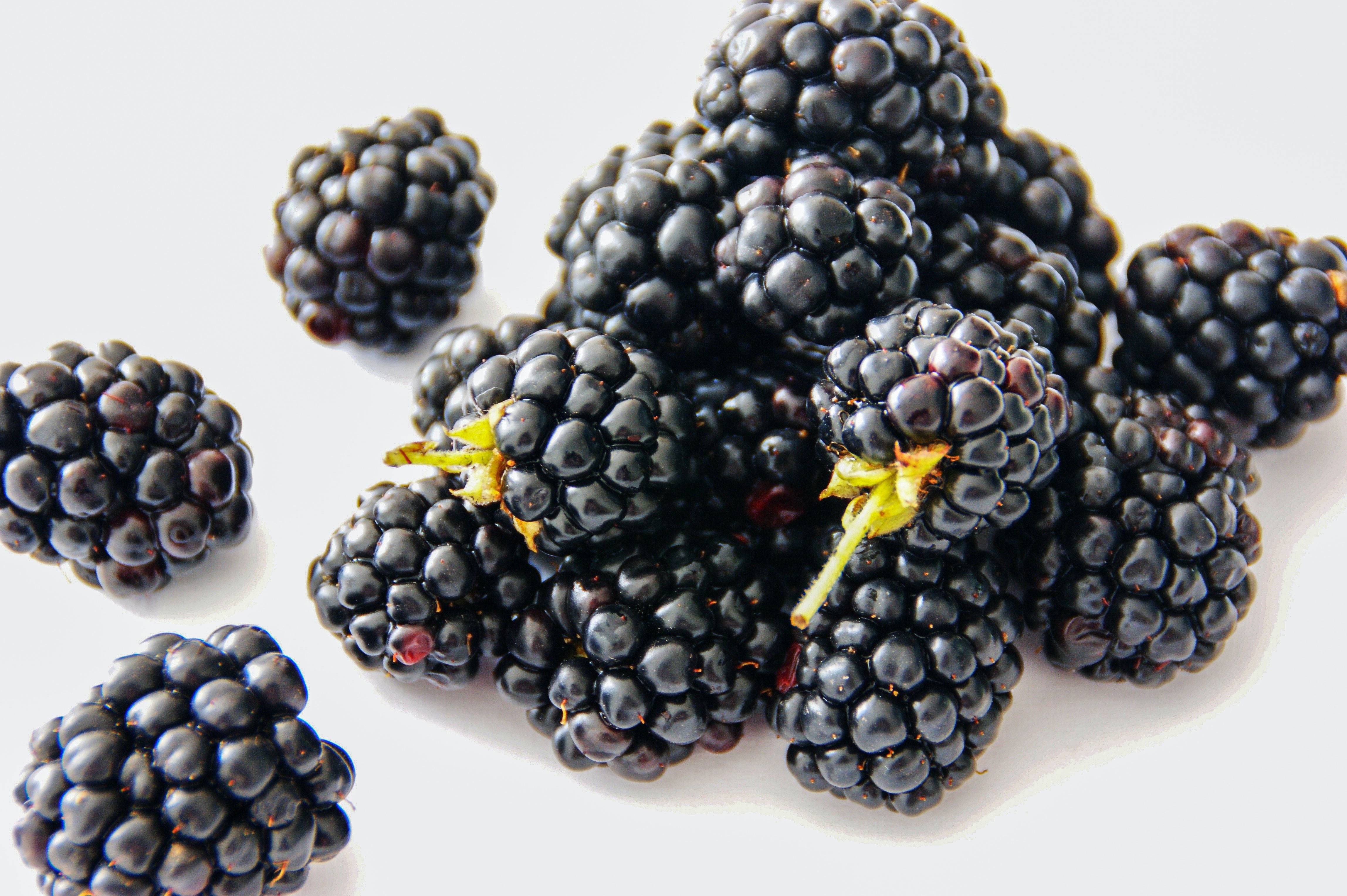 黑莓小镇品牌的诞生,从好原料开始