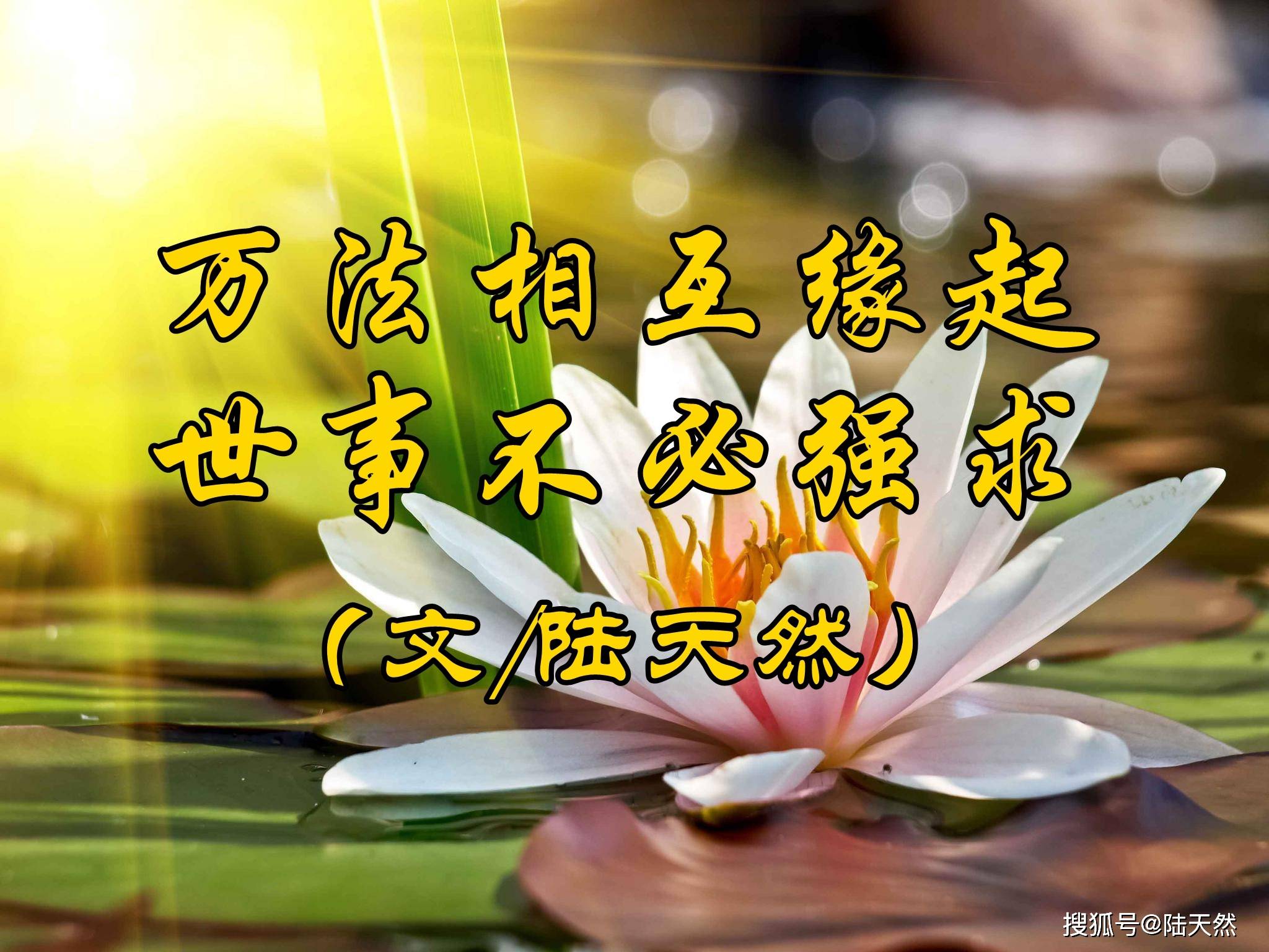 陆天然:万法相互缘起,世事不必强求_生活_因为_生命