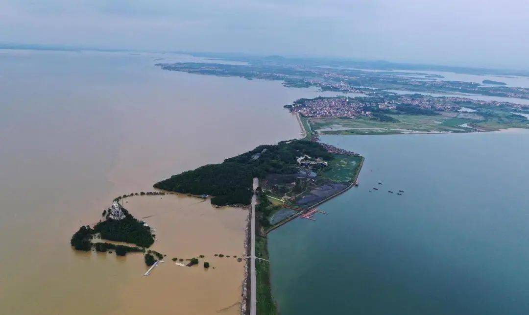 鄱陽湖是我國最大的淡水湖,面積廣闊,是重要的鳥類聚集地,這裡的晌鑔