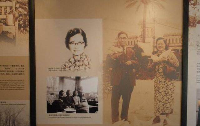 只因一次任性放纵,换来半生貌合神离_凌叔华_陈西滢_绘画