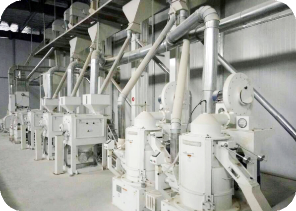 谷子加工细糠可调节智能米机设备农户来料加工用谷子去杂色选组合米机