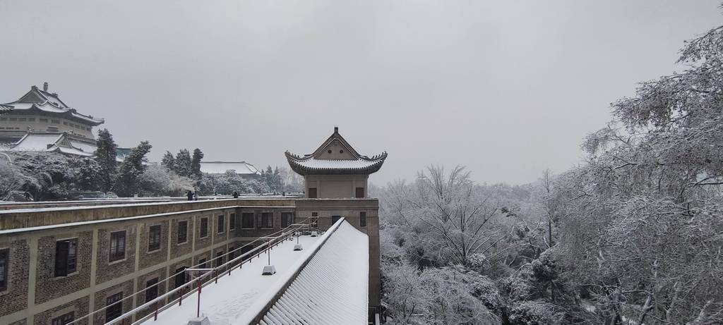 心中美景道不得,_雪景_樱花_历史