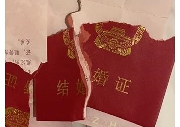 被撕碎的结婚证图片图片