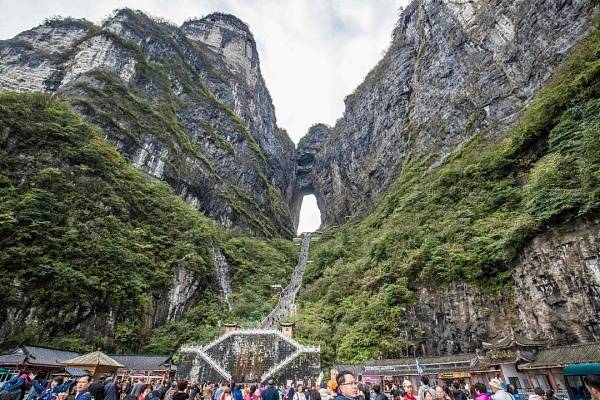张家界天门山森林公园一日游_调查_湖南省_灌木