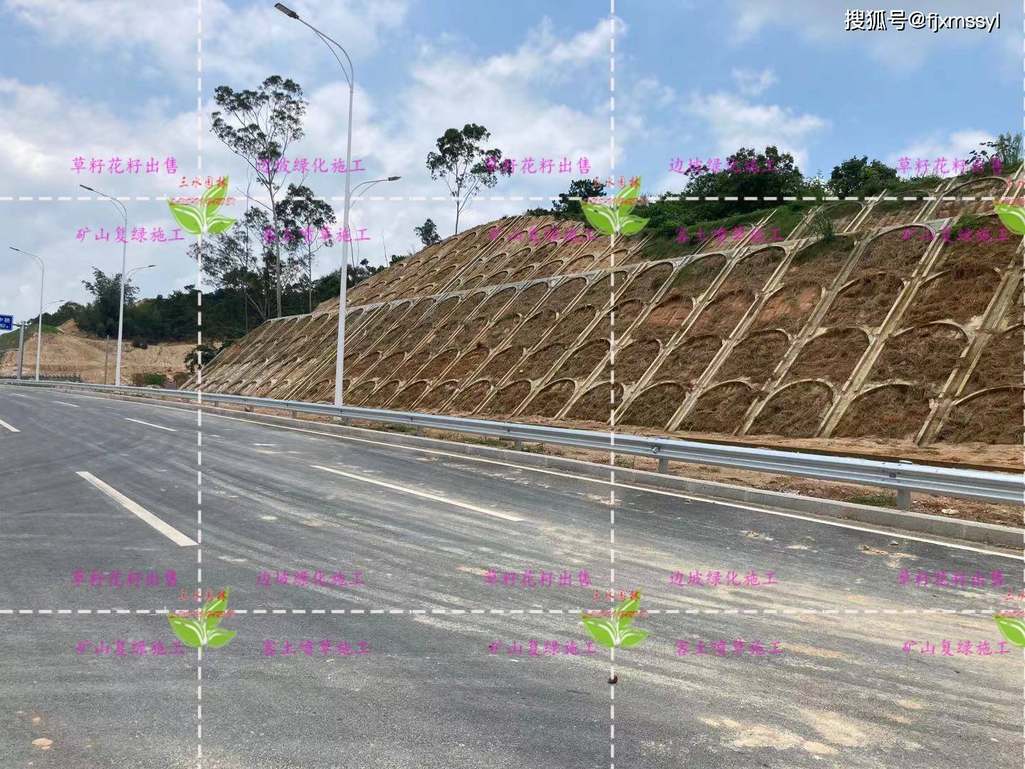 成都 绵阳 德阳 南充 宜宾 自贡 乐山 泸州 遂宁高速公路护坡绿化草籽