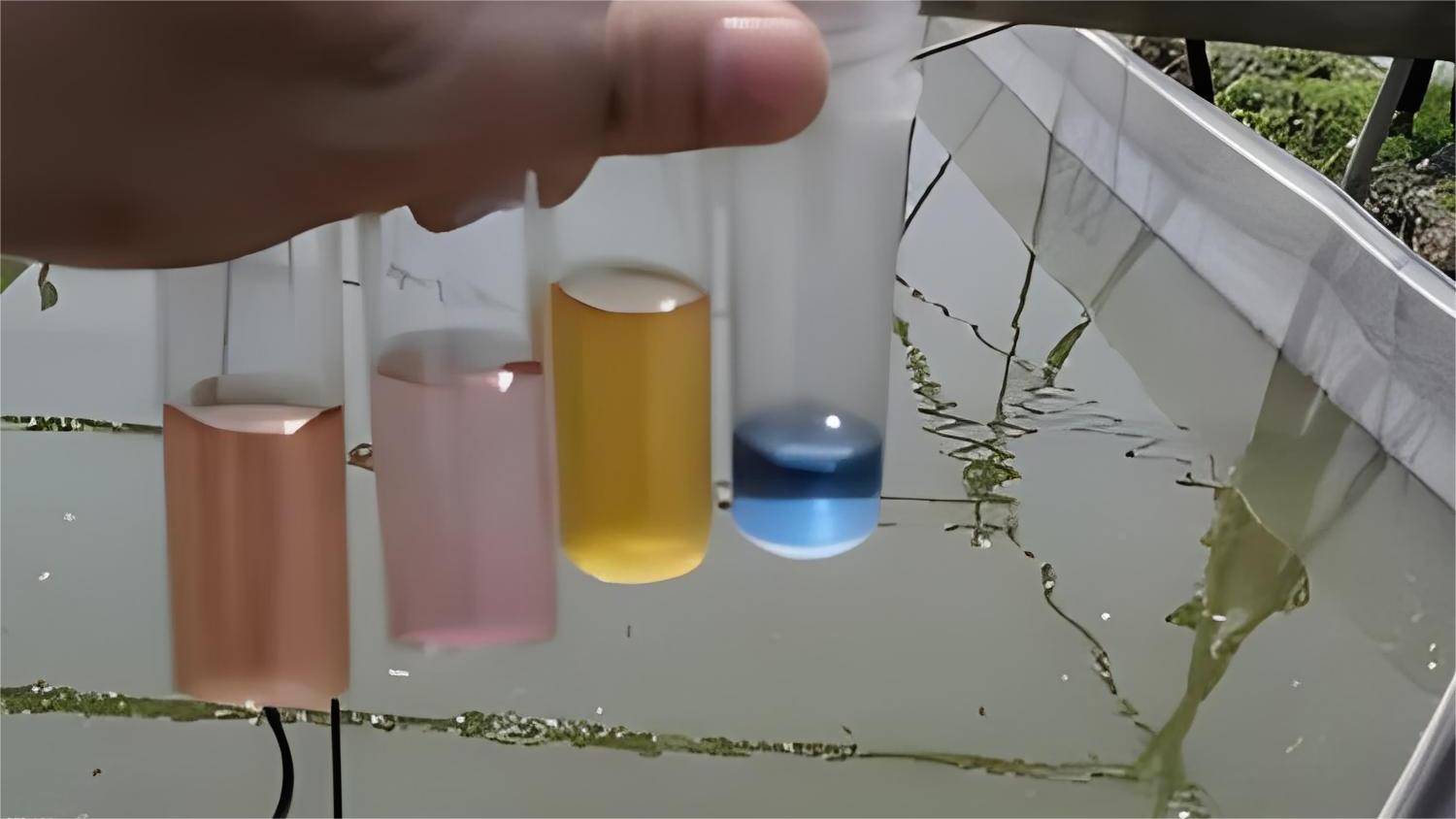 2,有机物分解:鱼塘中的有机物在分解过程中会产生碱性物质,从而