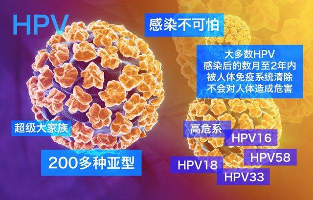 新生儿感染hpv病毒图片图片