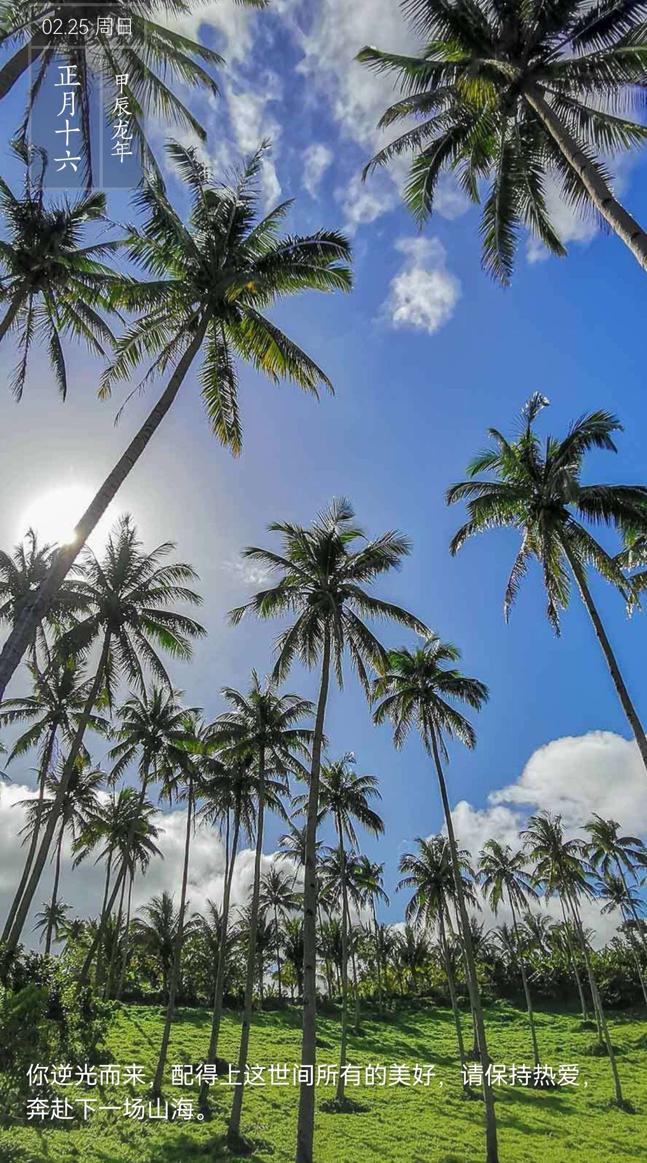 道之道阅读:2024年02月25日_西南_危难_君子