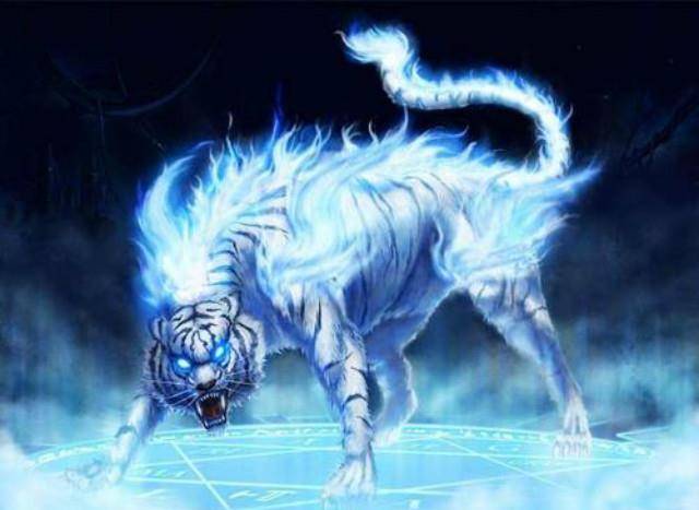 凤凰_古代_龙的