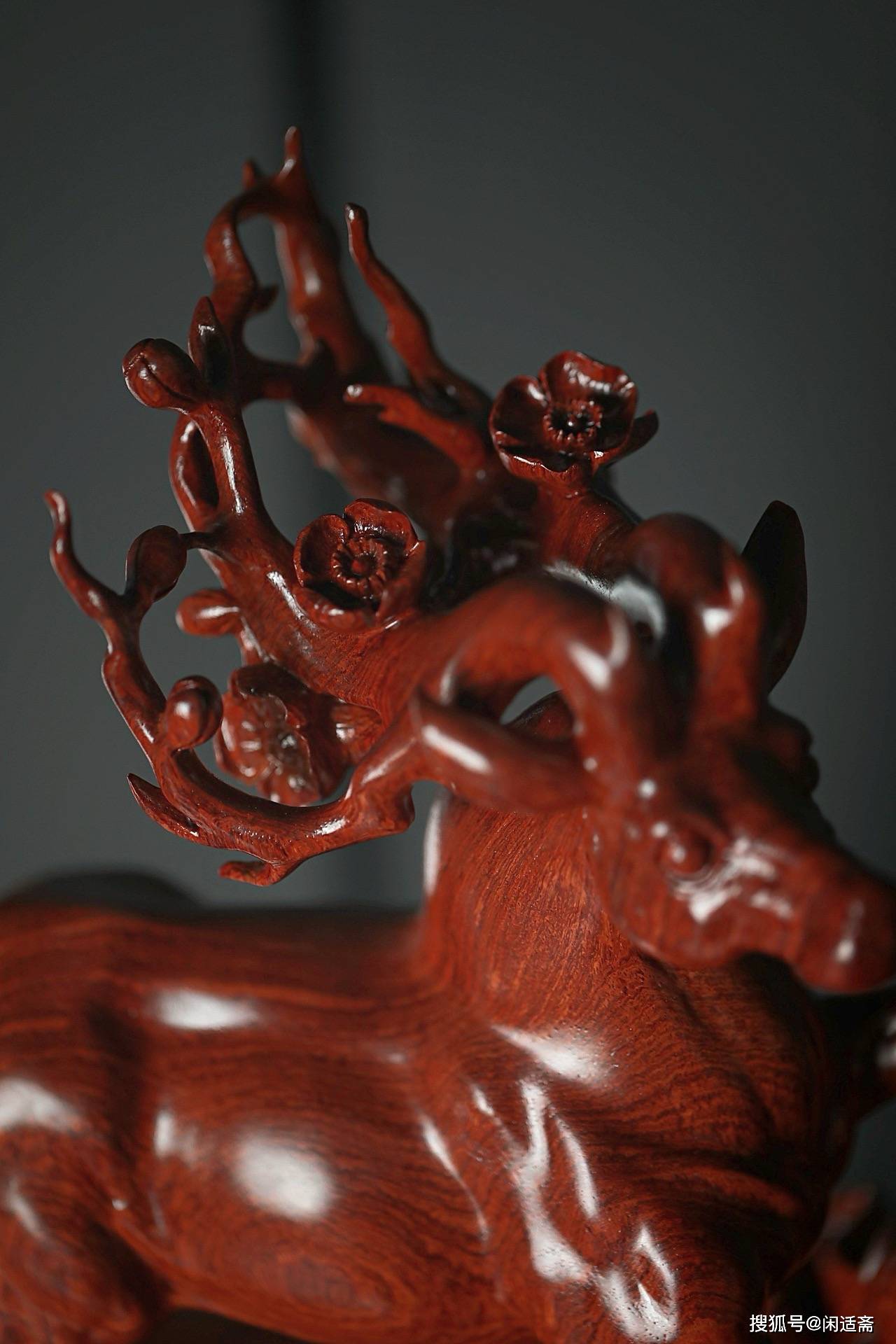 缅花瘿木瘤,鹿"路"生财,木雕工艺摆件_造型_整体_自然