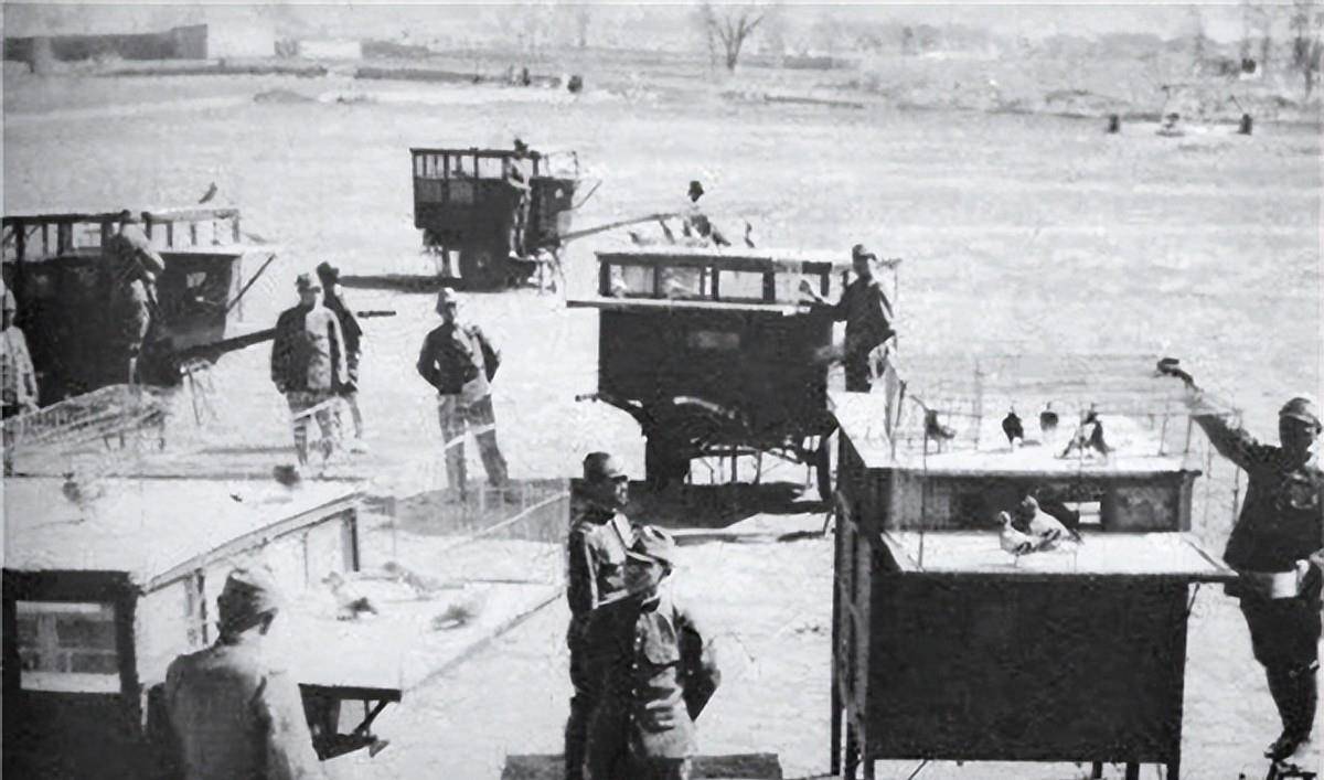 全是鲜血换来的教训_军队_军鸽_拉夫