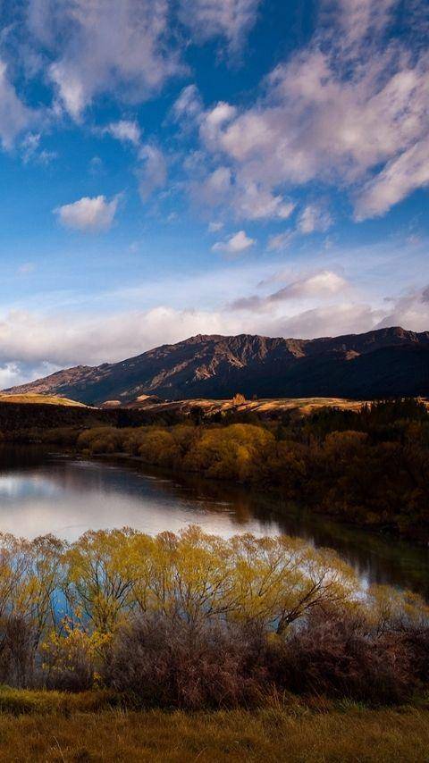 宋慈韶华录百度百科_中国_法医学_贡献
