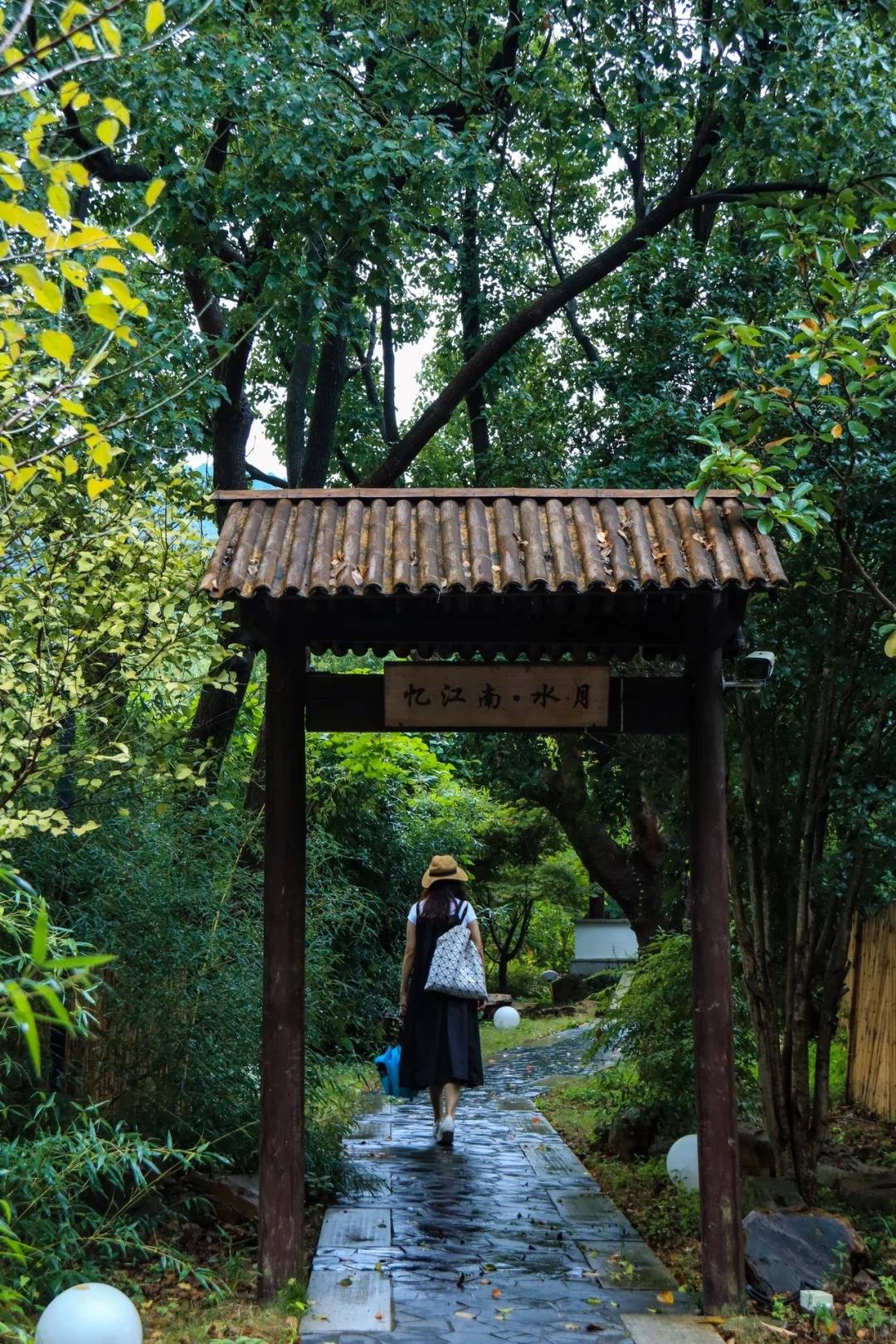 苏州西山水月禅寺林一图片