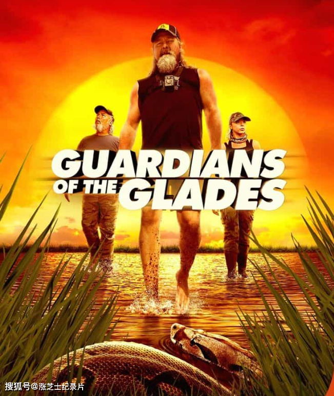 10336-探索频道《湿地守护者 Guardians of the Glades 2020》第1-2季全18集 英语中英双字 官方纯净版 1080P/MKV/76.1G 蟒蛇猎人