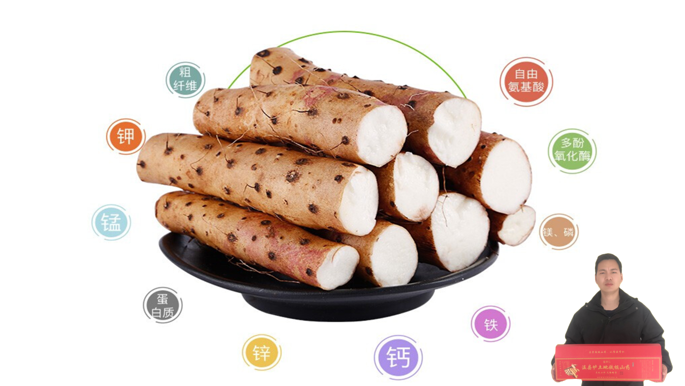 温县垆土铁棍山药功效与作用春季养生从这里开始