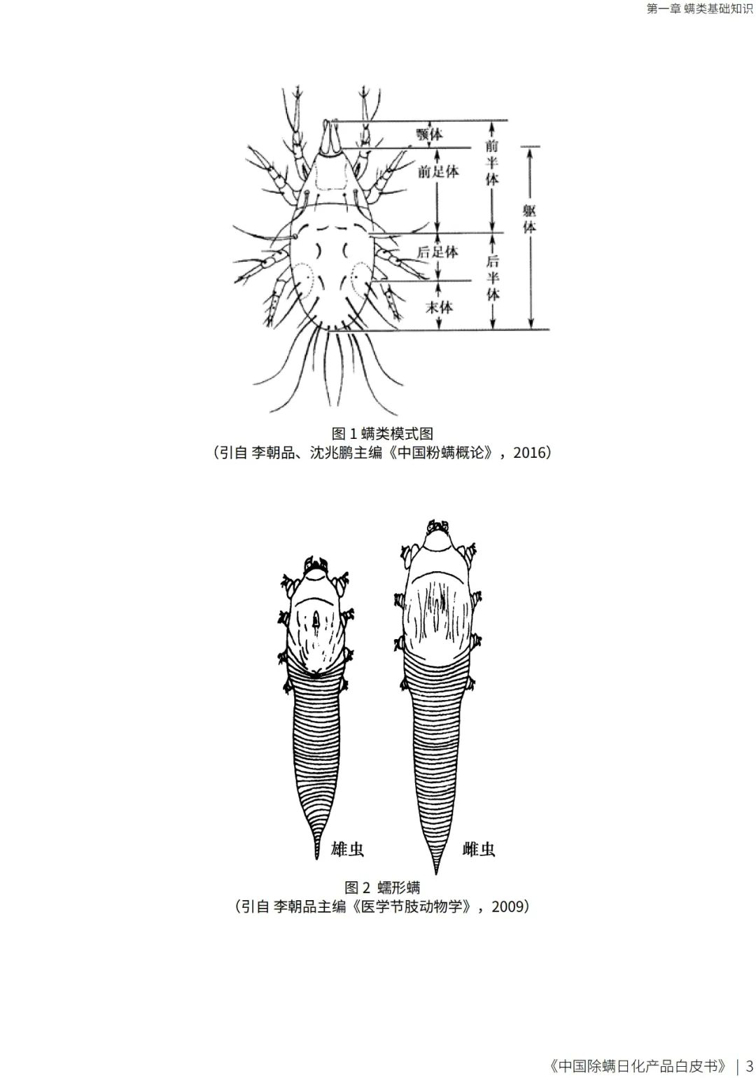 螨类的分类螨属于节肢动物门,蛛形纲