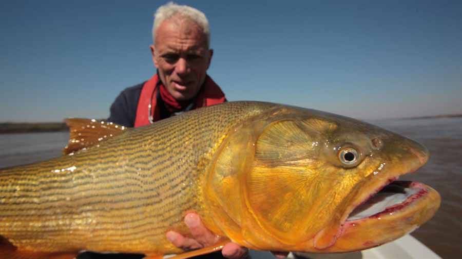 《河中巨怪 river monsters》第1-9季纪录片解说素材 全57集