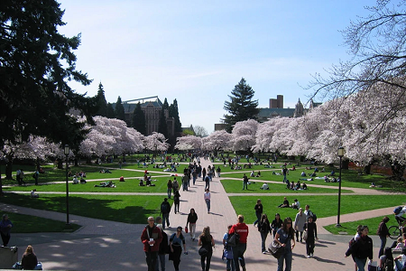 华盛顿大学戏剧表演专业介绍