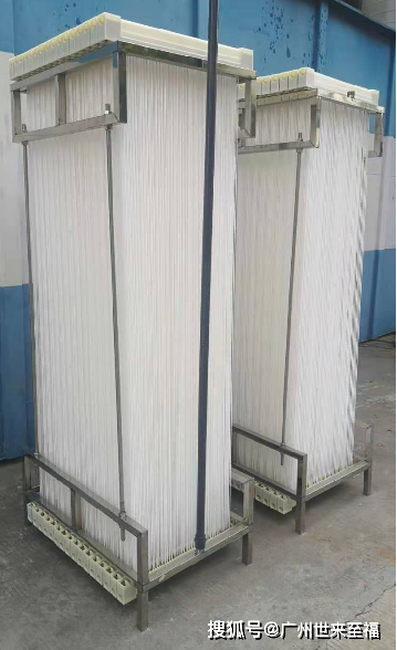 mabr生物膜大概的生命周期