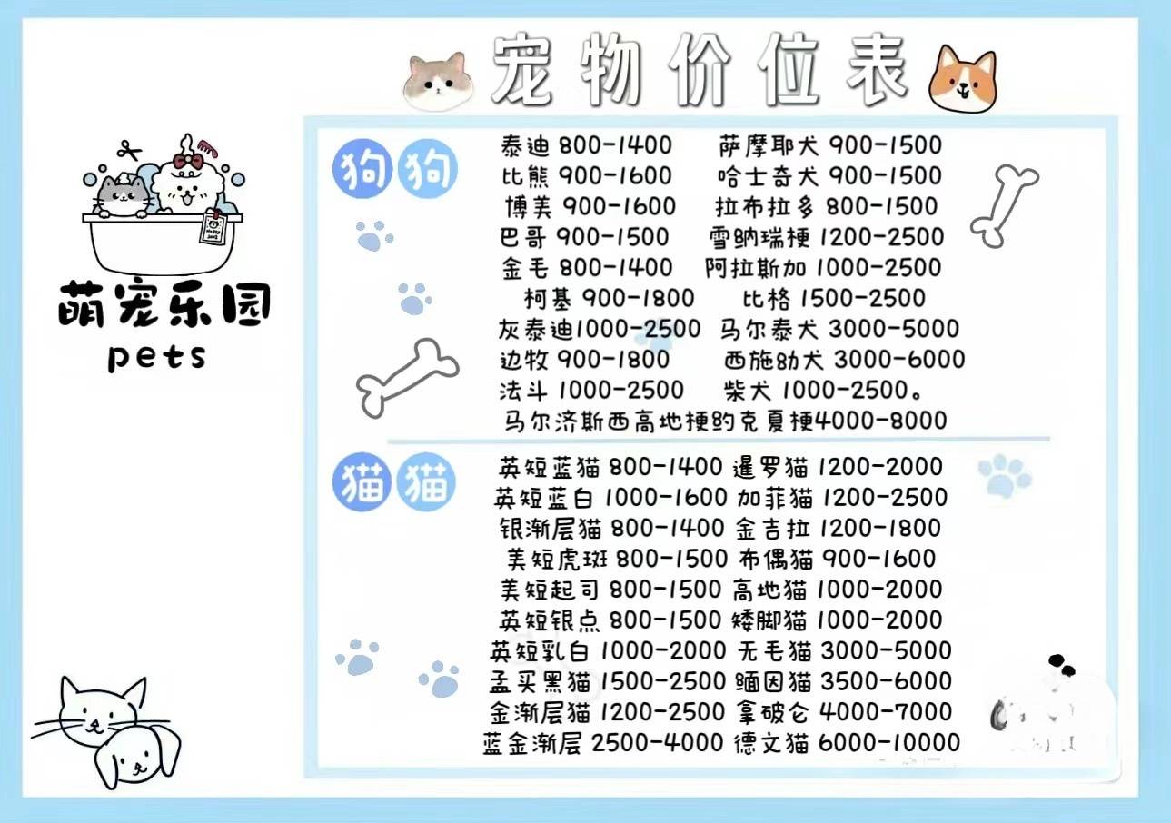 深圳宠物猫狗在哪里买靠谱,深圳买宠物这里安全可靠可实体店挑选宠物!