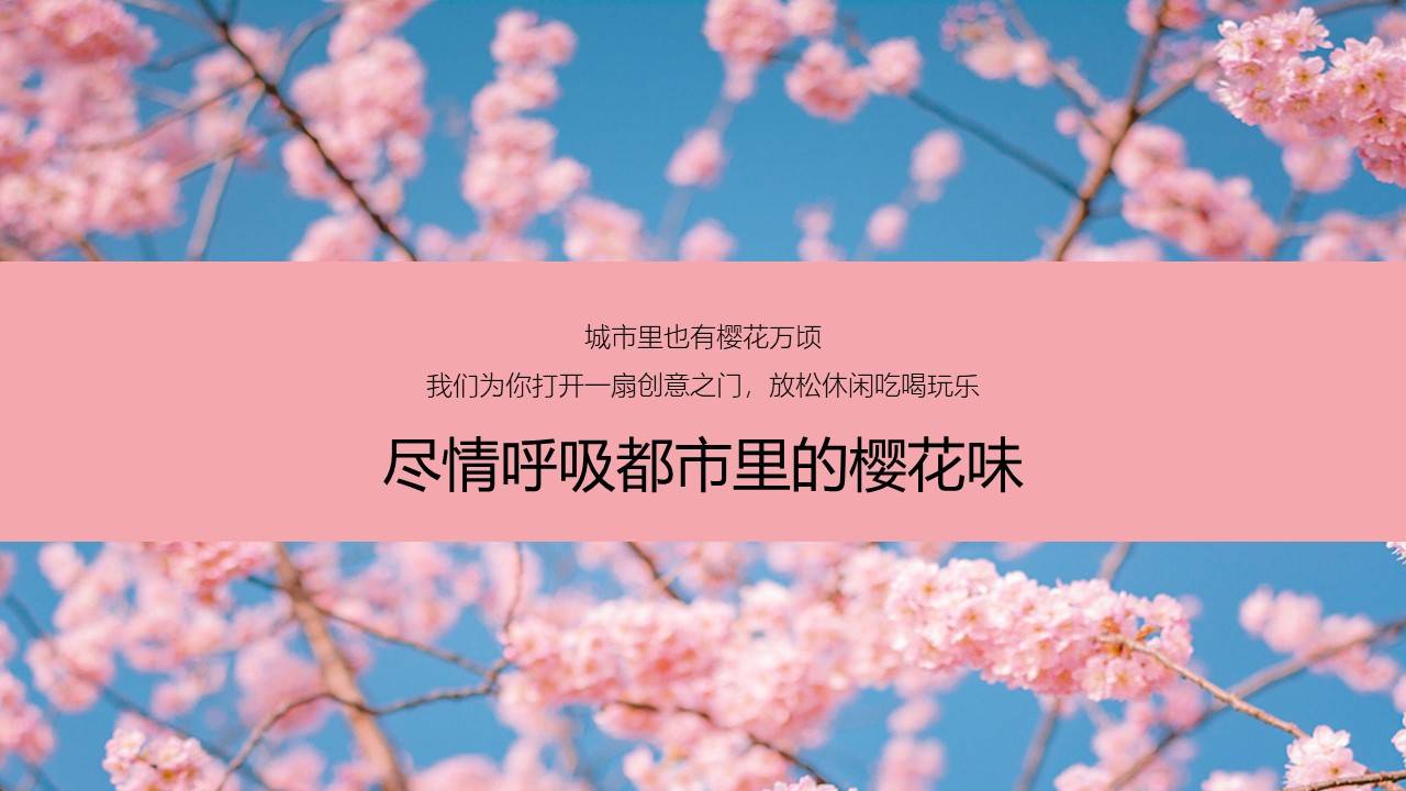 都市里的樱花味-春季创意樱花游园会活动策划方案(附下载)_生活_日本